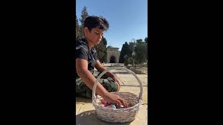 صورة من ساحة المسجد الأقصى، الإعلان عن نتائج مسابقة فضائل الشام  وبيت المقدس