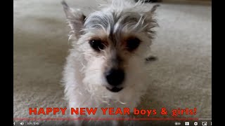 HAPPY NEW YEAR (2024) to the BOYS & GIRLS /  EDUCATIONAL ENCOURAGEMENT MESSAGE for CHILDREN
