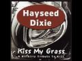 Heavens on Fire - Hayseed Dixie