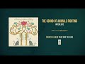 The Sound of Animals Fighting "Interlude"