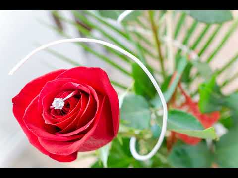 Somelee - Espiral De Amor [Organic-House]