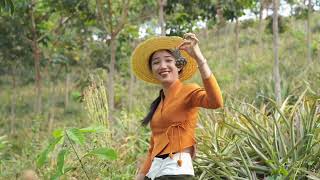 วิถีบ้านๆชาวไทลื้อ สิบสองปันนา 傣家人 西双版纳 Tailue Yunnan Xishuangbanna Life Diary
