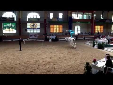 CVIO Stadl Paura 2014 - Franziska Fieg - Freestyle