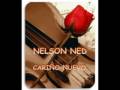 Nelson Ned Cariño Nuevo