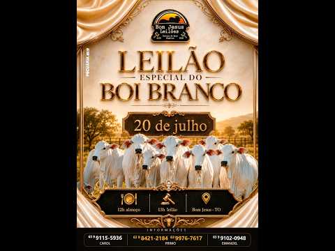LEILÃO ESPECIAL DO BOI BRANCO BOM JESUS LEILÕES | BOM JESUS-TO - 20/07/2026