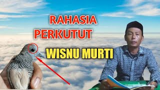 Download lagu Katuranggan of the Wisnu Murti Turtle Dove mp3
