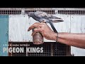PIGEON KINGS, trailer (2020)