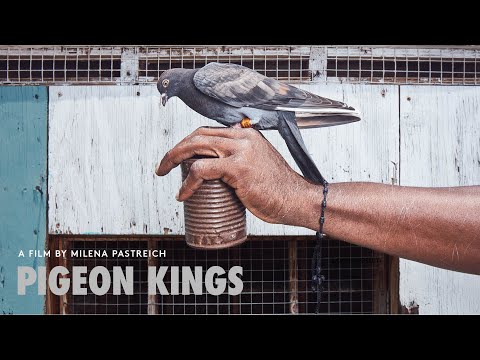 PIGEON KINGS, trailer (2020)