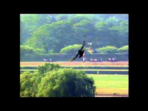 Devil His Due - 1994 G2 Brooklyn Handicap