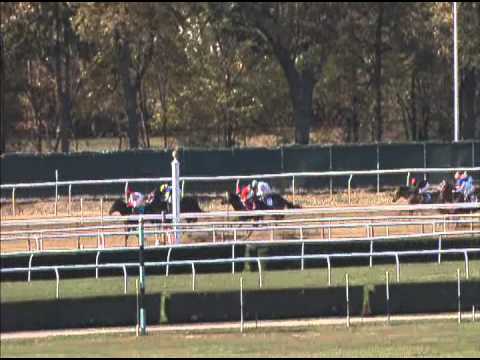 Wicked Strong - 10/26/13 maiden win