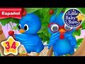 Dos Pajaritos Y Muchas Más Canciones Infantiles 34 Minutos De Recopilación LittleBabyBum