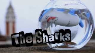 THE SHARKS - South of the River