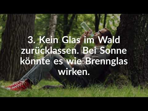 Verhaltenstipps im Wald