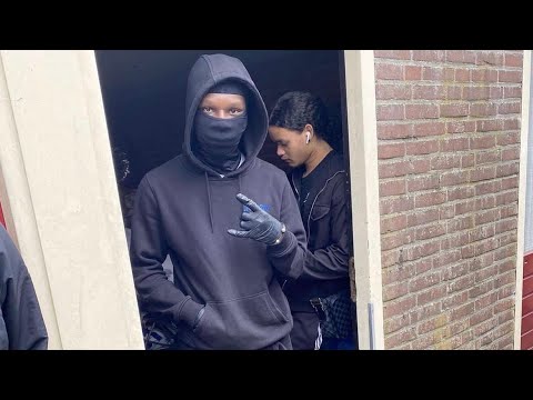 #Z13 Taiz13 x Shadow - Actief