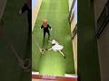 I PUSHED BALLERINA CAPPUCCINA