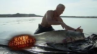 Super-Sized Spanish Wels Catfish - River Monsters