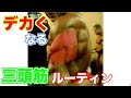 三頭筋をデカくする4種目ルーティン【筋トレ】