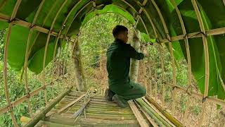 Building a Tree Shelter on a Giant Ancient Tree | Living in the Heart of the Forest