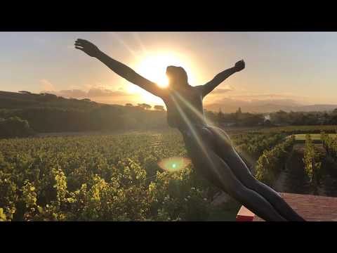 Destination: Lanzerac