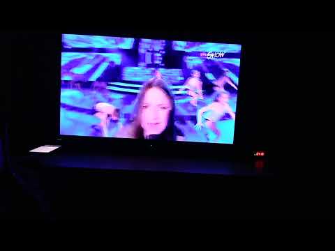 Amna Alajbegovic Survivor