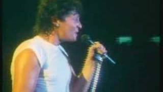 Golden Earring - Long Blond Animal