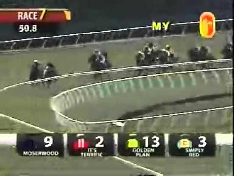 20101023 KL SELANGOR TROPHY CLASS 4 1400M (LC) - MISTY MOUNTAIN (Calvin Goon)