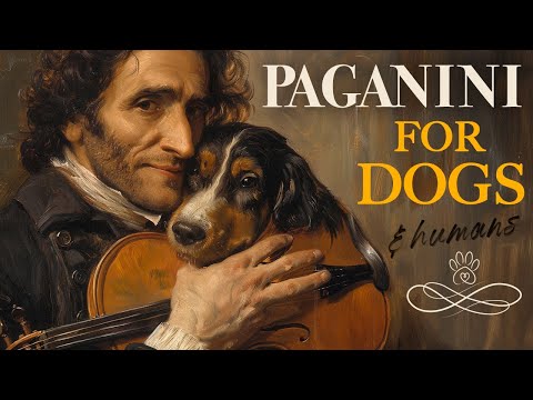 Paganini for Dogs, Classical Music for Dogs - Separation Anxiety Music for Dogs, Dogs Music Therapy