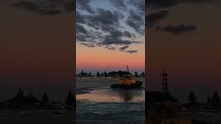 Carnival Splendor Tauranga New Zealand #viral #viralvideo#seafarer#sea#ship #boat #sunset#beach#tour