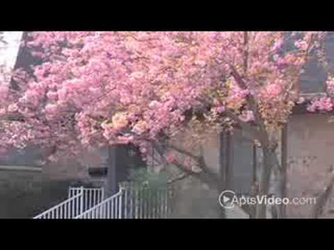 ForRent.com-Nine Thousand Westfield Apartments For Rent ...