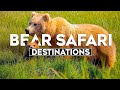 Top 10 Best Destinations For A Bear Safari Travel Video 2024