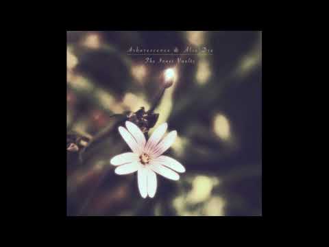 Arborescence & Alio Die - The Inner Vaults (2025)