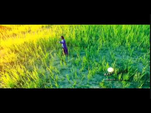 download lagu mp3 mp4 Ajmal Zahin Qataghani, download lagu Ajmal Zahin Qataghani gratis, unduh video klip Ajmal Zahin Qataghani