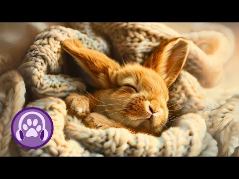 Over 7 HOURS of Music for Rabbits - EXTRA-SOOTHING