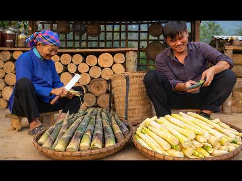 Unbelievable! A lonely elderly woman meets Trinh Ho – The ending moves everyone