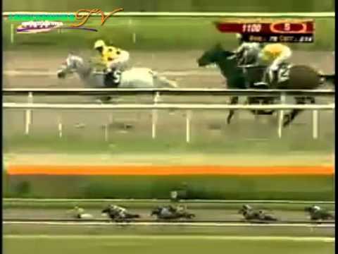 LA RINCONADA 5 CARRERA, SABADO 04 DE OCTUBRE DEL 2014