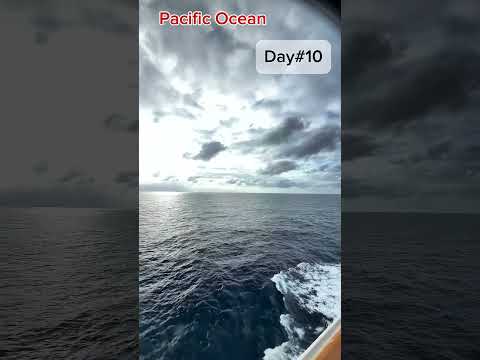 Thumbnail for Cruise life,Eat,gym,drink,and more#travel #cruise #adventure #dance