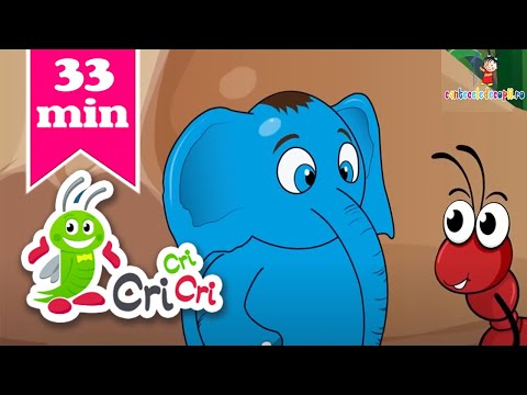 Colaj cantece pentru copii - Elefantul Cici I CriCriCri