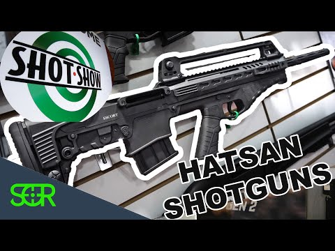 Hatsan Escort SDX12 Shooting Review 