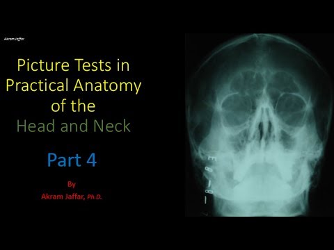 Test obrazkowy z anatomii głowy i szyi - część 4