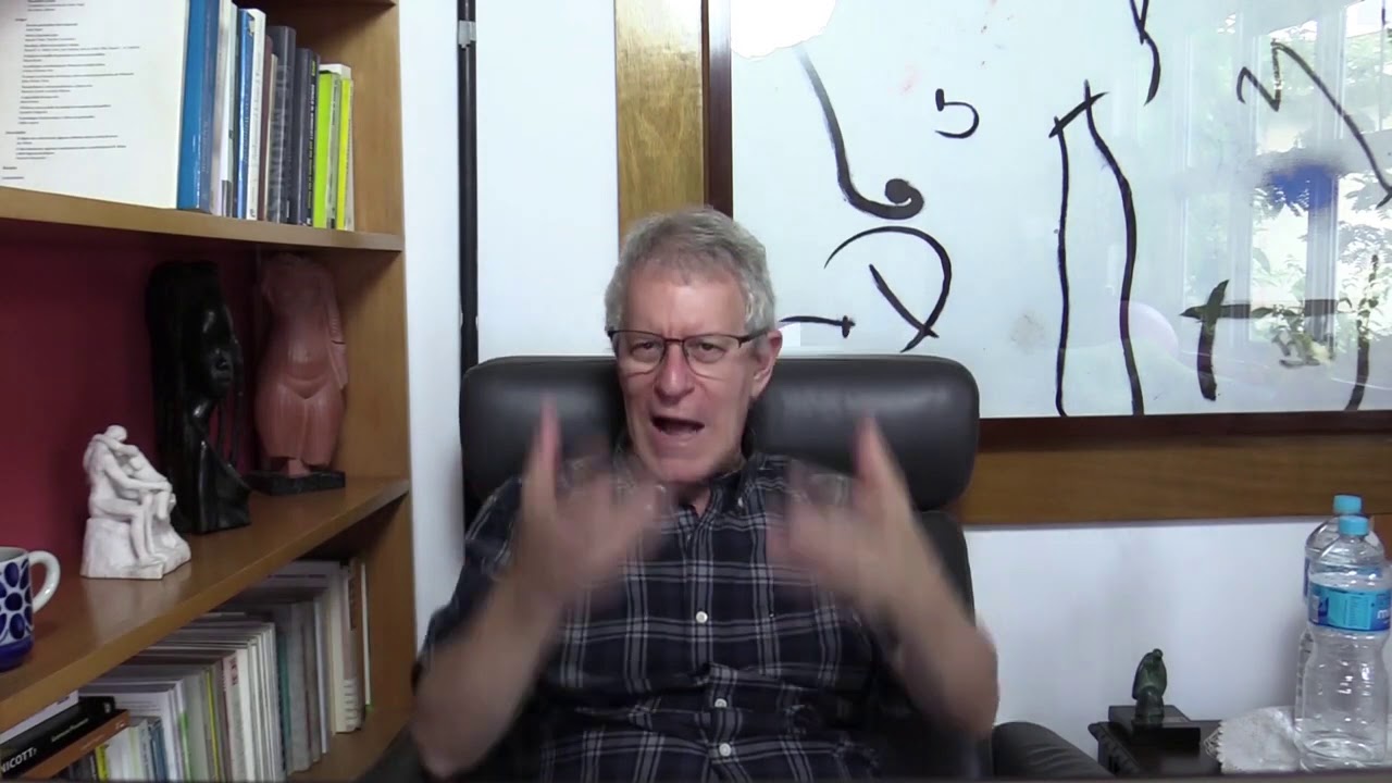 Anna Freud e a consolidação da teoria psicanalítica como uma teoria plena do desenvolvimento