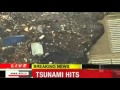 Japan Quake