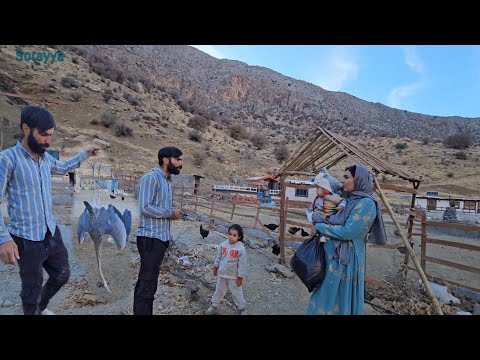 What happened to Tayyaba and Soraya's family?