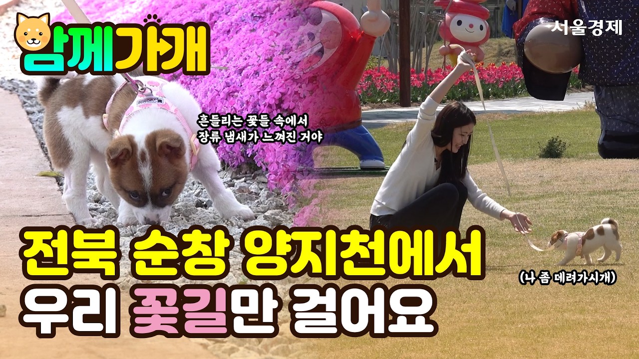 함께가개
