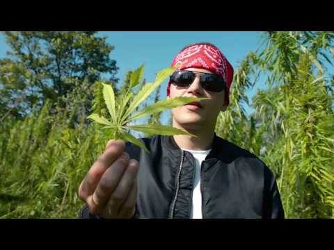 Michał Kisiel - LOVE LOVE (feat. Mel, prod. SoSpecial)