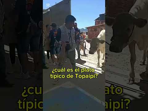 Muestra Ganadera Nuevo Colón Boyacá.