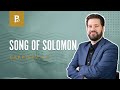 Love & Death | Song of Solomon- 4-8