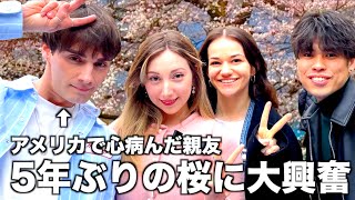 もうアメリカに帰れない。日本に来たザックが5年ぶりの花見でメンタル大復活【日英字幕】