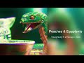 Young Nudy Peaches Eggplants Ft 21 Savage 432Hz