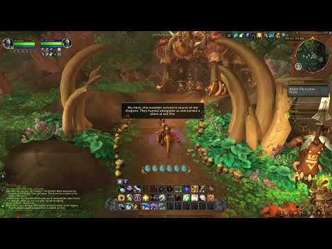 Dragonflight Quest 83: The Shikaar (WoW, human, paladin)