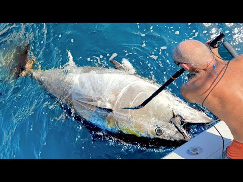 Amazing Level Giant Bluefin Tuna Fishing Skill - Most Satisfying Caught of Tuna on The Boat